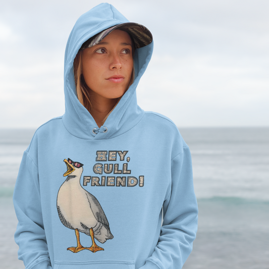 Hey, Gull Friend! Hoodie