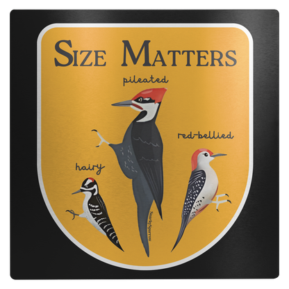 Size_Matters__Woodpecker_Edition_-_12_12x12_Main_Mockup.png_15907406