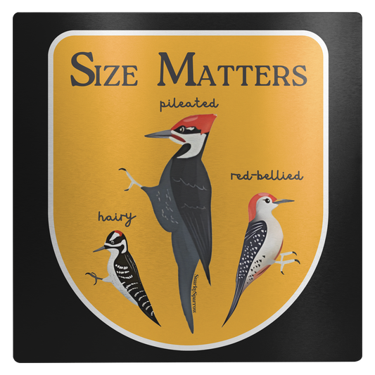 Size_Matters__Woodpecker_Edition_-_12_12x12_Main_Mockup.png_15907406